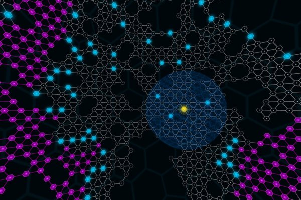nexus darknet