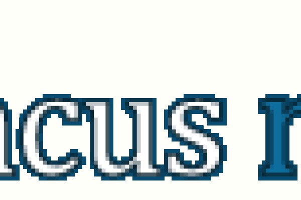 abacus market url