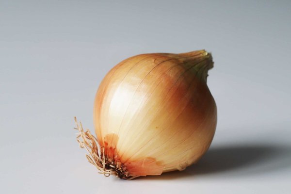 nexus onion
